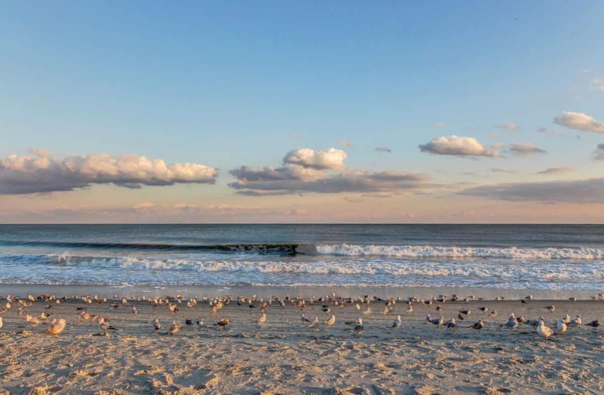 *Oceanfront Retreat*King Bed *Great Pools, Hot Tubs+++*O41 Villa Myrtle Beach Exterior foto
